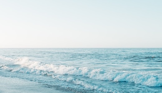 コーポレートサイトを開設しました